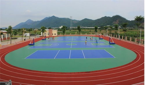 篮球场地面硅PU地面报价 金成环保塑胶球场