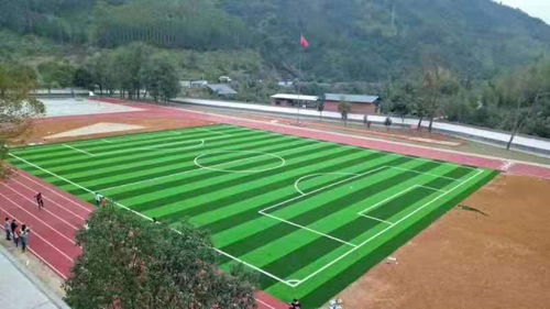 足球场人造草坪 湖北野火体育设施