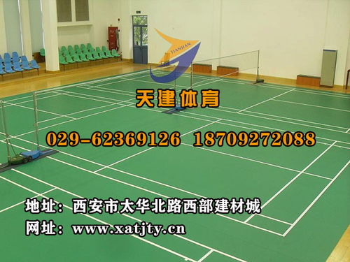 渭南塑胶球场厂家,塑胶球场厂家,天建体育 查看