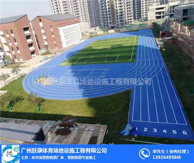 广东渗水型塑胶跑道 渗水型塑胶跑道施工 广州跃康 优质商家
