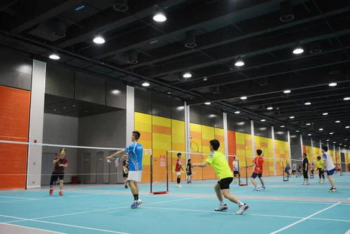 快,去东安湖体育公园 动一下 室内项目今日已开放,游泳跳水馆明日试营业