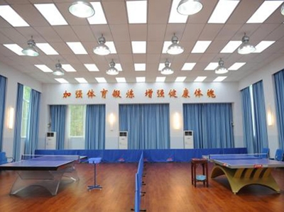 乒乓球运动木地板