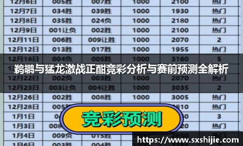 鹈鹕与猛龙激战正酣竞彩分析与赛前预测全解析